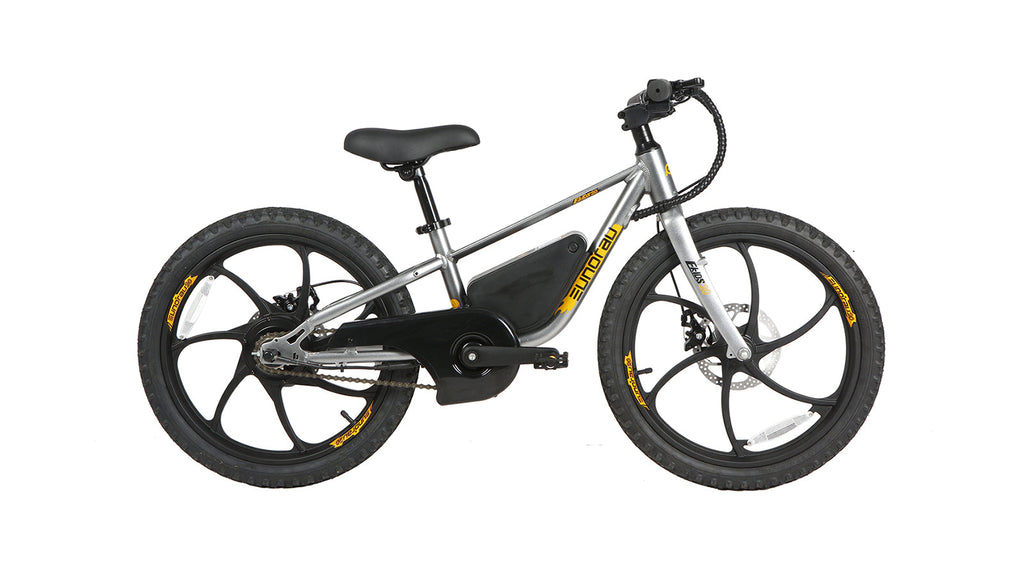 EKIDS-20 2024 Electric Bike - Kids Type Electric Bicycle EUNORAU ELECTRIC BIKES Graphite  