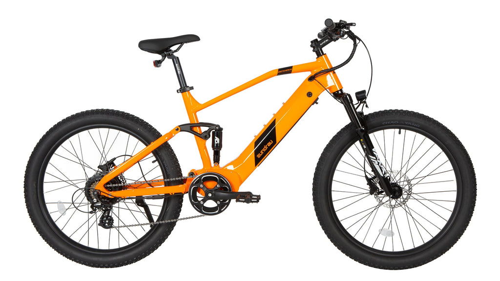 DEFENDER Electric Bike - Mountain Type Electric Bicycle EUNORAU INNOVATIVE ELECTRIC BIKES 17" Orange 